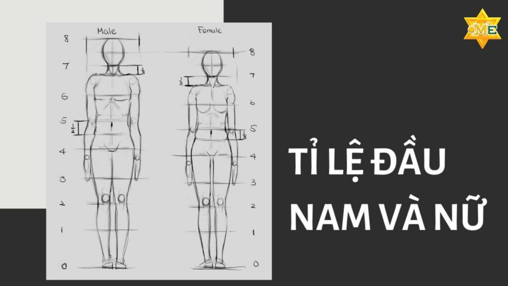học vẽ online cho người mới bắt đầu 
