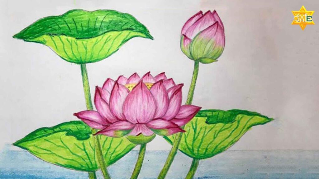 Ý nghĩa của việc vẽ hoa sen trong tranh dự thi cho học sinh tiểu học