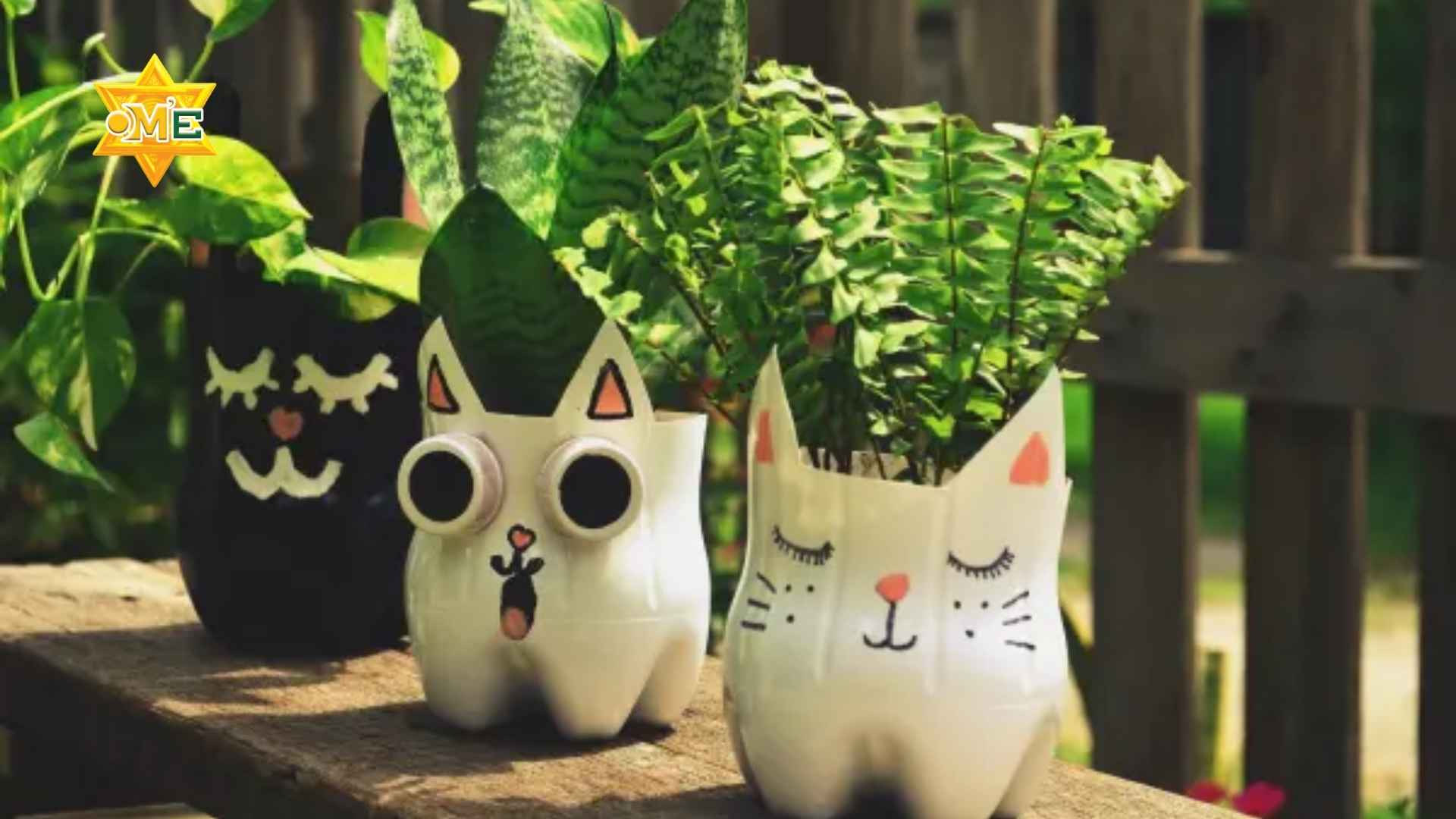 Cắm hoa từ vật liệu tái chế